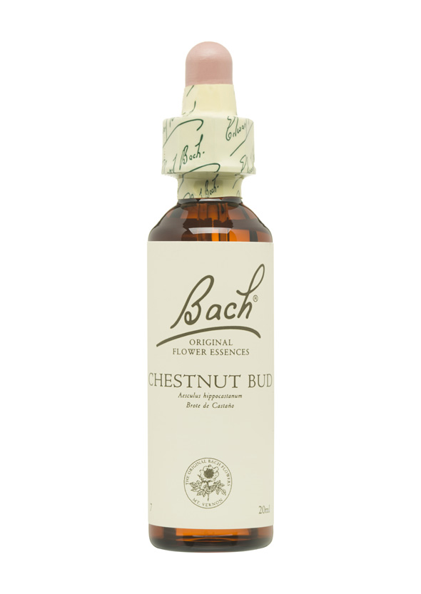 5cb4ed4675c58-BACH-FLORES-PERSONALIDAD-APATICA-CHESNUT-BUD.jpg