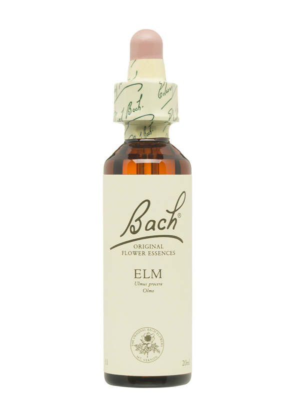 5cb4f1f28b1cf-BACH-FLORES-PERSONALIDAD-TRISTE-ELM.jpg
