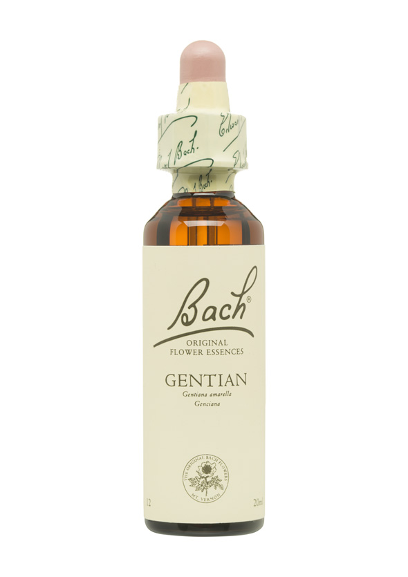 5cb4f31c6eac3-BACH-FLORES-PERSONALIDAD-INSEGURA-GENTIAN.jpg