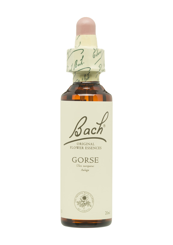 5cb57e78c36ca-BACH-FLORES-PERSONALIDAD-INSEGURA-GORSE.jpg