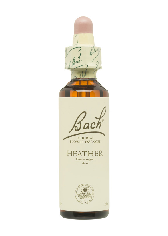 5cb57f6f5a746-BACH-FLORES-PERSONALIDAD-SOLITARIA-HEATHER.jpg
