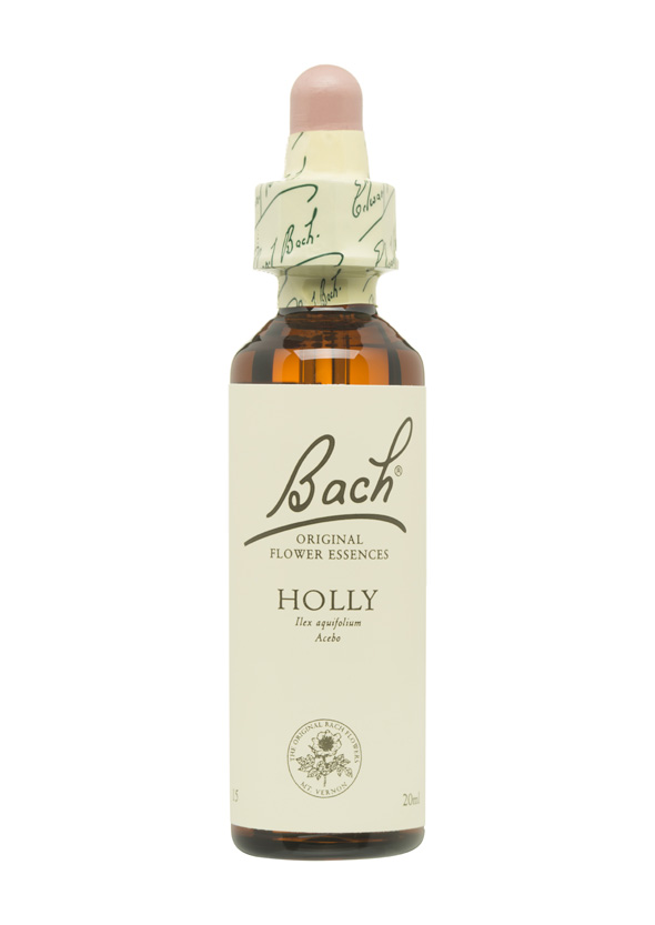 5cb582bded54f-BACH-FLORES-PERSONALIDAD-MIEDOSA-HOLLY.jpg