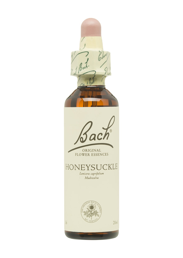 5cb591bb1a127-BACH-FLORES-PERSONALIDAD-APATICA-HONEYSUCKLE.jpg