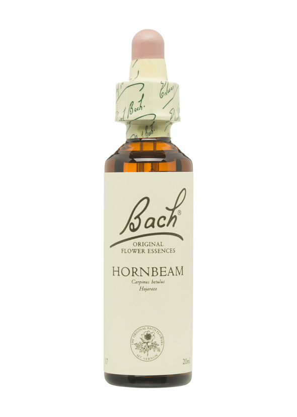 5cb592f48309c-BACH-FLORES-PERSONALIDAD-INSEGURA-HORNBEAM.jpg