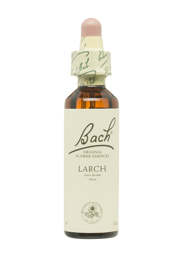 5cb59529b2312-BACH-FLORES-PERSONALIDAD-TRISTE-LARCH.jpg