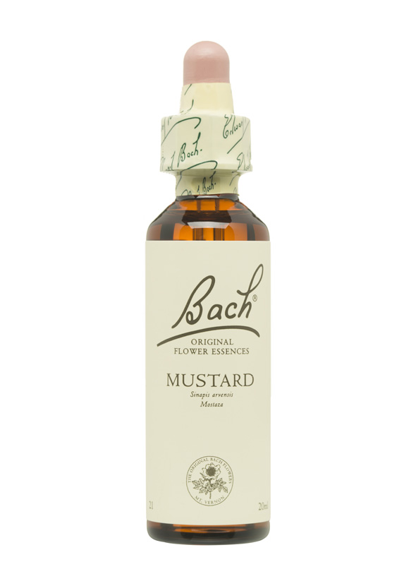 5cb597261ec26-BACH-FLORES-PERSONALIDAD-APATICA-MUSTARD.jpg