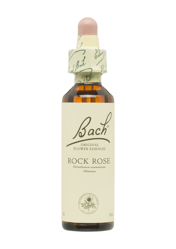5cb5a282c9ec6-BACH-FLORES-PERSONALIDAD-MIEDOSA-ROCK-ROSE.jpg
