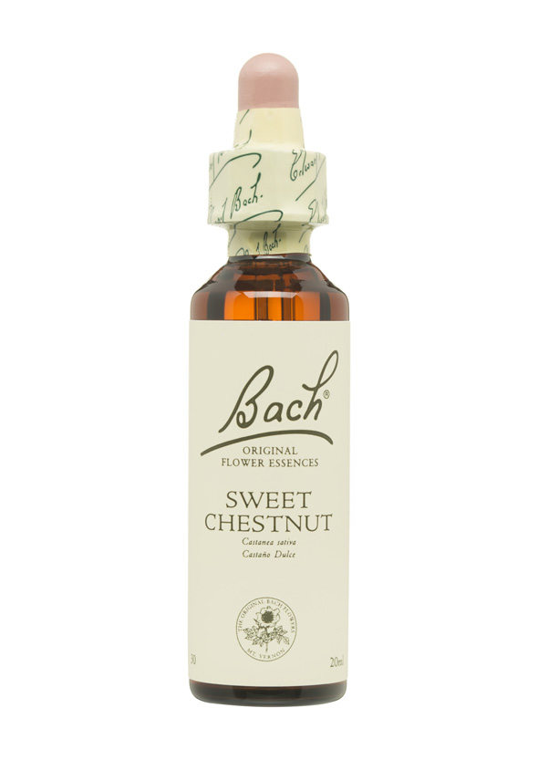 5cb5ab04223a8-BACH-FLORES-PERSONALIDAD-TRISTE-SWEET-CHESTNUT.jpg