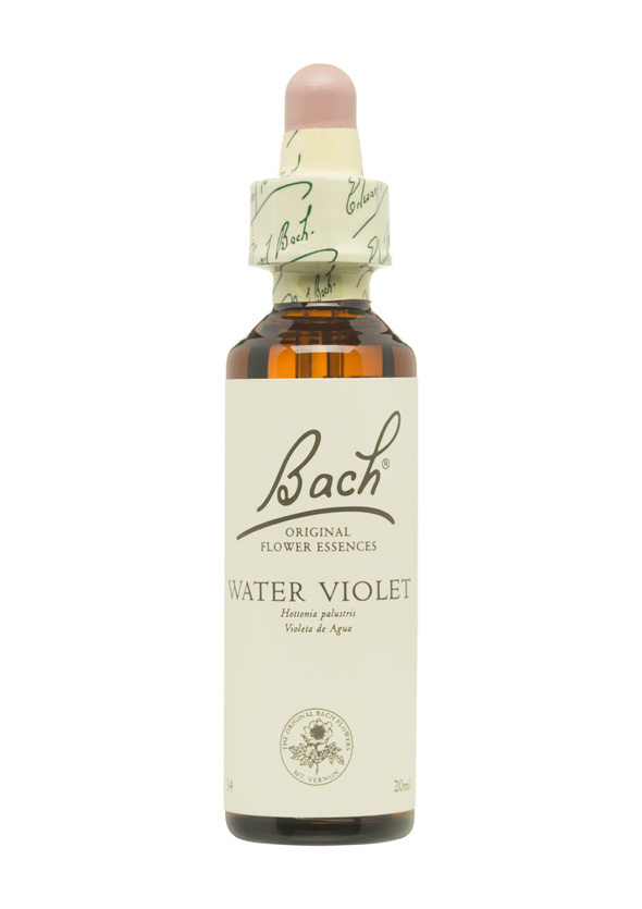 5cb5b40313d90-BACH-FLORES-PERSONALIDAD-SOLITARIA-WATER-VIOLET.jpg