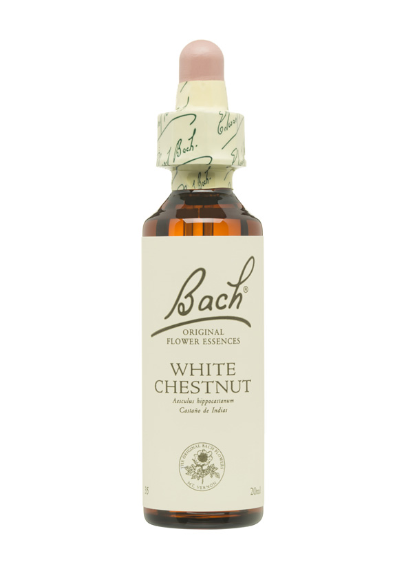 5cb5b4de96cdc-BACH-FLORES-PERSONALIDAD-APATICA-WHITE-CHESTNUT.jpg