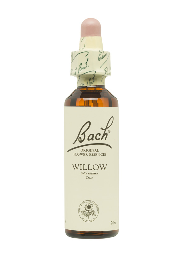 5cb5bc028d2bc-BACH-FLORES-PERSONALIDAD-TRISTE-WILLOW.jpg