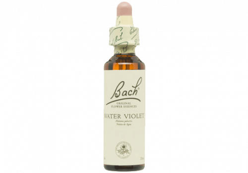 BACH-FLORES-PERSONALIDAD-SOLITARIA-WATER-VIOLET__FillMaxWzYwMCw0MjBd
