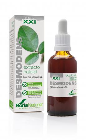 SORIA-DESMODIUM-SAN-PEDRO-ALCANTARA