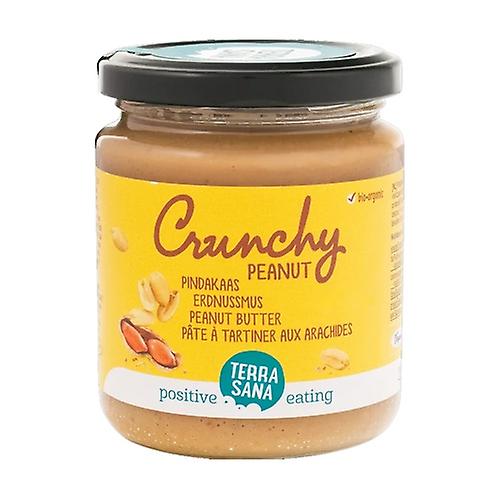 TERRASANA-PEANUT-BUTTER-CRUNCHY-ECOLOGICA-CREMA-DE-CACAHUETES-SAN-PEDRO-ALCANTARA